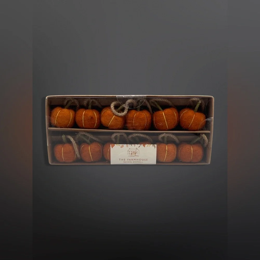 ⚡️FALL DECOR⚡️The Farmhouse Collection Pumpkin Garland By Rachel Ashwell